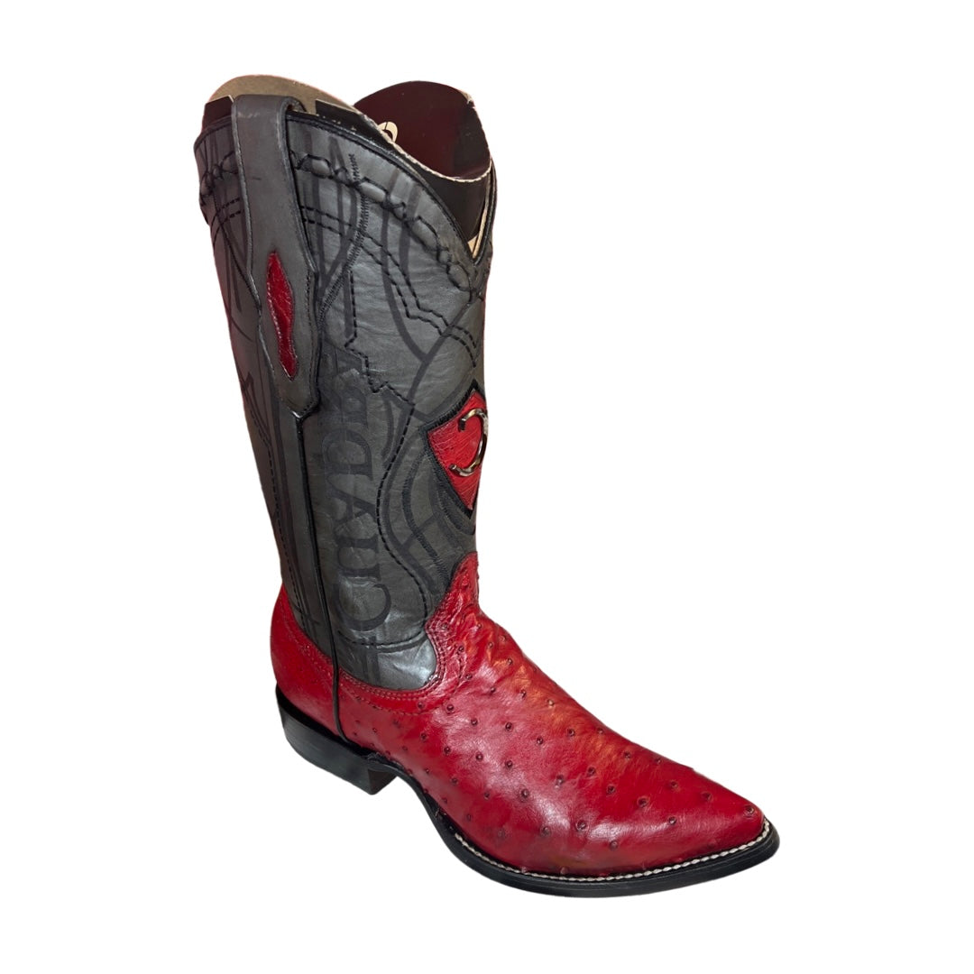 Cuadra Hombre Avestruz Rojo Botas