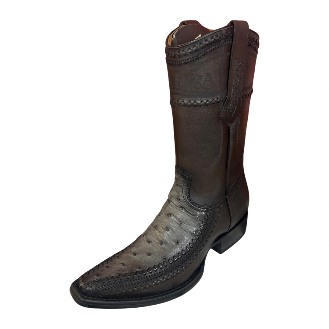 Cuadra Hombre Avestruz Flame Gris