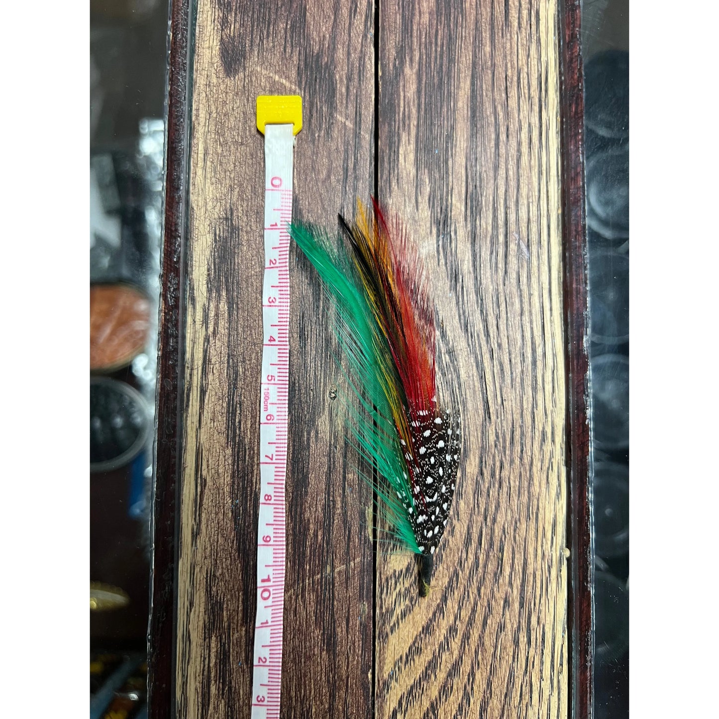 Multi-color Pluma/Feather